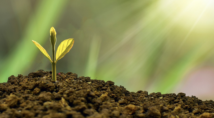 5 beneficios de trabajar con un psicólogo el Desarrollo Personal