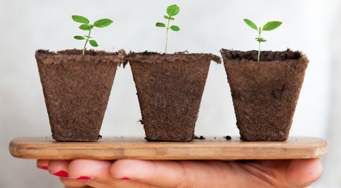 Cómo cultivamos un ambiente de seguridad y confianza donde puedas ser tú mismo